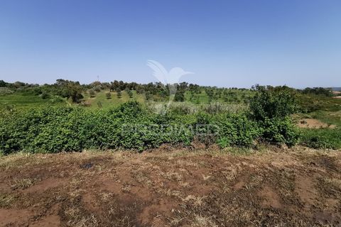 Ruinere i Tomar, Santarem, Tomar - € 85.000 | Ref: 061040 - foto 3