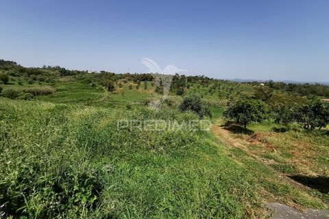 Ruinere i Tomar, Santarem, Tomar - € 85.000 | Ref: 061040 - foto 6