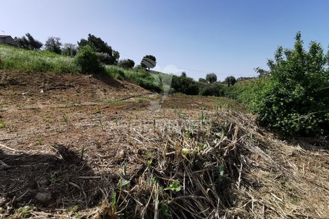 Ruinere i Tomar, Santarem, Tomar - € 85.000 | Ref: 061040 - foto 8