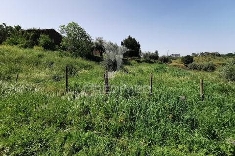 Ruinere i Tomar, Santarem, Tomar - € 85.000 | Ref: 061040 - foto 10