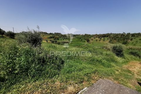 Ruinere i Tomar, Santarem, Tomar - € 85.000 | Ref: 061040 - foto 11