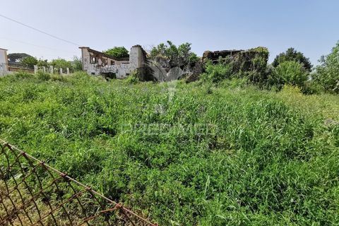 Ruinere i Tomar, Santarem, Tomar - € 85.000 | Ref: 061040 - foto 12