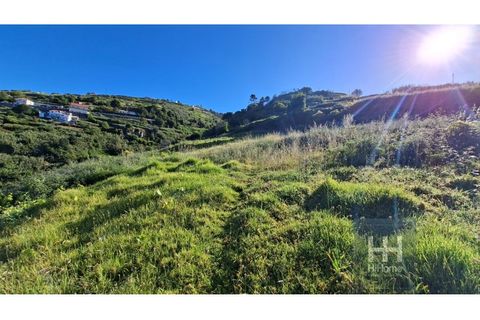 Helårsgrund i Calheta, Madeira, Calheta - € 290.000 | Ref: HH_2810MD26 - foto 3