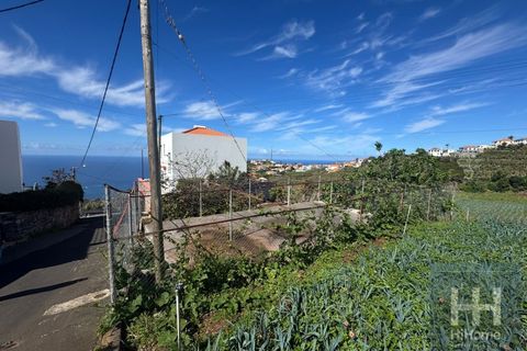Helårsgrund i Ponta do Sol, Madeira, Ponta do Sol - € 495.000 | Ref: HH_2798MD26 - foto 3