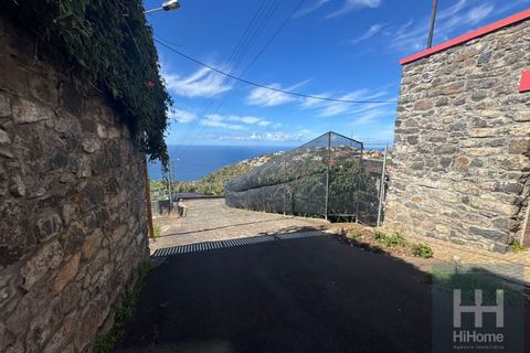 Helårsgrund i Ponta do Sol, Madeira, Ponta do Sol - € 495.000 | Ref: HH_2798MD26 - foto 5