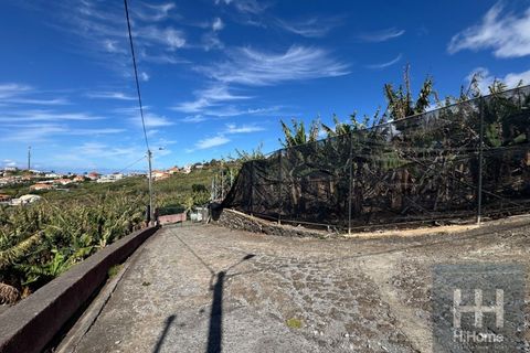Helårsgrund i Ponta do Sol, Madeira, Ponta do Sol - € 495.000 | Ref: HH_2798MD26 - foto 11