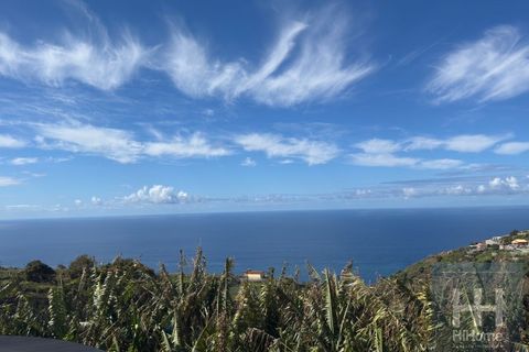 Helårsgrund i Ponta do Sol, Madeira, Ponta do Sol - € 495.000 | Ref: HH_2798MD26 - foto 14