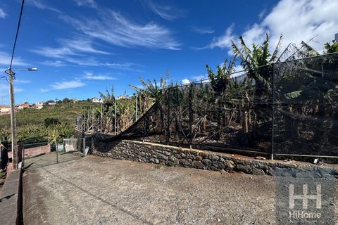 Helårsgrund i Ponta do Sol, Madeira, Ponta do Sol - € 495.000 | Ref: HH_2798MD26 - foto 15