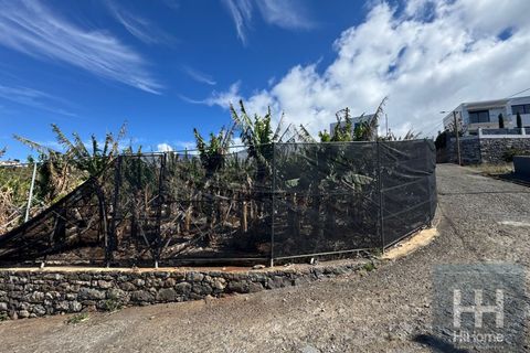 Helårsgrund i Ponta do Sol, Madeira, Ponta do Sol - € 495.000 | Ref: HH_2798MD26 - foto 16