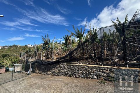 Helårsgrund i Ponta do Sol, Madeira, Ponta do Sol - € 495.000 | Ref: HH_2798MD26 - foto 17