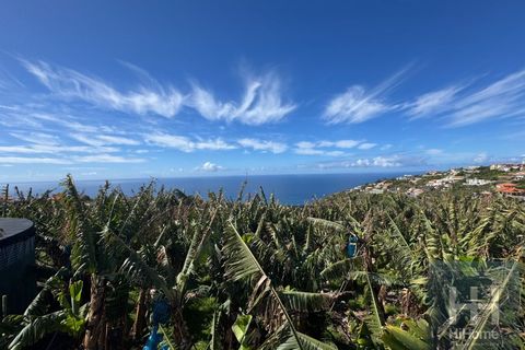 Helårsgrund i Ponta do Sol, Madeira, Ponta do Sol - € 495.000 | Ref: HH_2798MD26 - foto 18