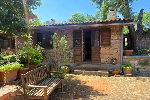 Villa i Proceno, Viterbo, Proceno - € 350.000 | Ref: PROCENO01-1-1 - foto 27
