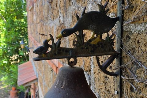 Villa i Proceno, Viterbo, Proceno - € 350.000 | Ref: PROCENO01-1-1 - foto 41