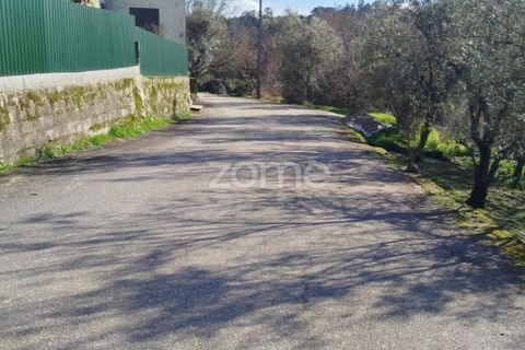 Villa i Viseu, Viseu, Viseu - € 180.000 | Ref: ZMPT589481 - foto 3