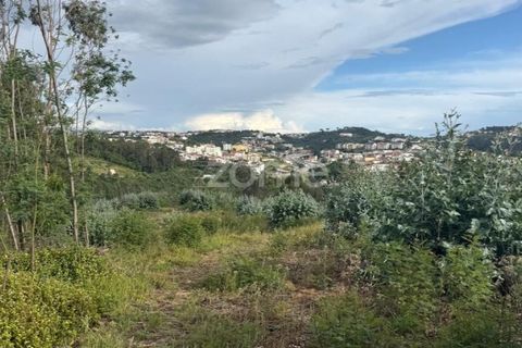 Helårsgrund i Coimbra, Coimbra, Coimbra - € 67.900 | Ref: ZMPT589389 - foto 5