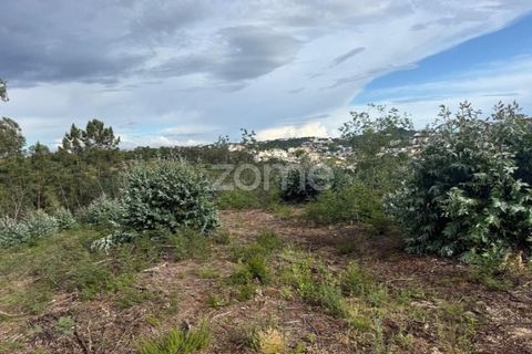Helårsgrund i Coimbra, Coimbra, Coimbra - € 67.900 | Ref: ZMPT589389 - foto 6