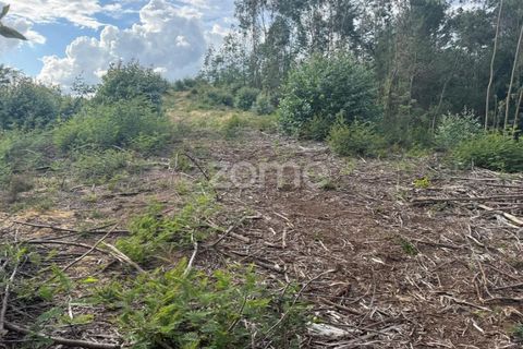 Helårsgrund i Coimbra, Coimbra, Coimbra - € 67.900 | Ref: ZMPT589389 - foto 7