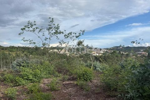 Helårsgrund i Coimbra, Coimbra, Coimbra - € 67.900 | Ref: ZMPT589389 - foto 8