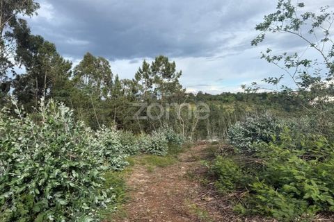 Helårsgrund i Coimbra, Coimbra, Coimbra - € 67.900 | Ref: ZMPT589389 - foto 9
