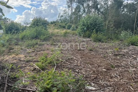 Helårsgrund i Coimbra, Coimbra, Coimbra - € 67.900 | Ref: ZMPT589389 - foto 12