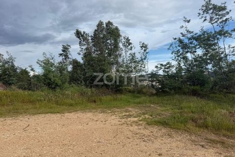 Helårsgrund i Coimbra, Coimbra, Coimbra - € 67.900 | Ref: ZMPT589389 - foto 14