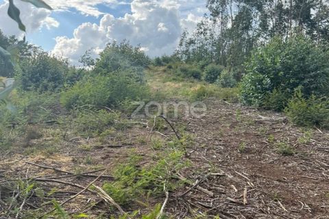 Helårsgrund i Coimbra, Coimbra, Coimbra - € 67.900 | Ref: ZMPT589389 - foto 15
