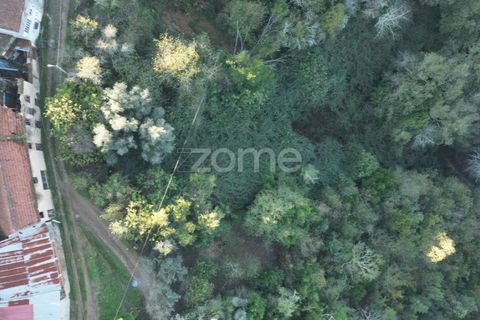 Villa i Arganil, Coimbra, Arganil - € 17.500 | Ref: ZMPT583740 - foto 15