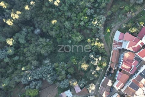 Villa i Arganil, Coimbra, Arganil - € 17.500 | Ref: ZMPT583740 - foto 17