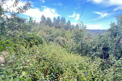 Villa a Folques, Coimbra, Folques - € 67.500 | Ref: ZMPT571828 - foto 16