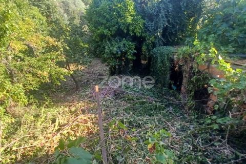 Villa a Folques, Coimbra, Folques - € 67.500 | Ref: ZMPT571828 - foto 17