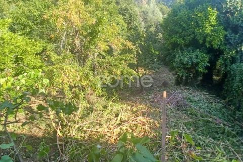 Villa a Folques, Coimbra, Folques - € 67.500 | Ref: ZMPT571828 - foto 18