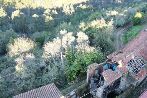 Villa a Arganil, Coimbra, Arganil - € 19.500 | Ref: ZMPT583743 - foto 11