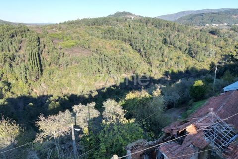 Villa a Arganil, Coimbra, Arganil - € 19.500 | Ref: ZMPT583743 - foto 12