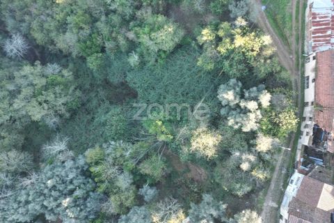Villa a Arganil, Coimbra, Arganil - € 19.500 | Ref: ZMPT583743 - foto 15