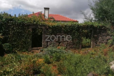 Villa i Paredes de Coura, Viana do Castelo, Paredes de Coura - € 57.500 | Ref: ZMPT583742 - foto 3