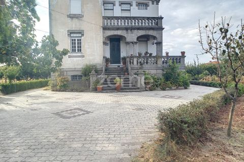 Villa i Nelas, Viseu, Nelas - € 400.000 | Ref: ZMPT565168 - foto 6