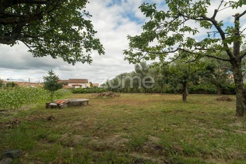 Villa i Nelas, Viseu, Nelas - € 400.000 | Ref: ZMPT565168 - foto 11