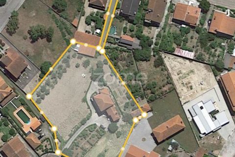 Villa i Nelas, Viseu, Nelas - € 400.000 | Ref: ZMPT565168 - foto 38