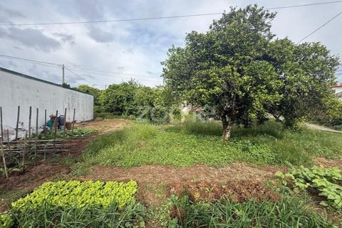 Helårsgrund i Coimbra, Coimbra, Coimbra - € 60.000 | Ref: ZMPT589208 - foto 2