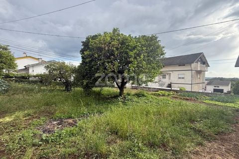 Helårsgrund i Coimbra, Coimbra, Coimbra - € 60.000 | Ref: ZMPT589208 - foto 3