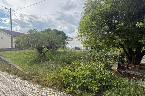 Helårsgrund i Coimbra, Coimbra, Coimbra - € 60.000 | Ref: ZMPT589208 - foto 4