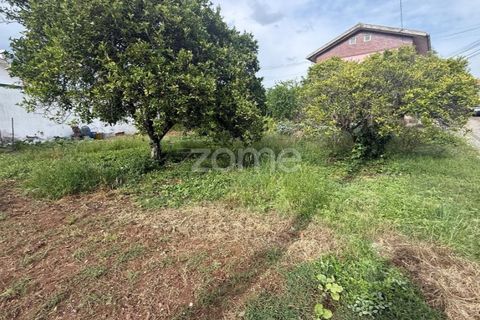 Helårsgrund i Coimbra, Coimbra, Coimbra - € 60.000 | Ref: ZMPT589208 - foto 5