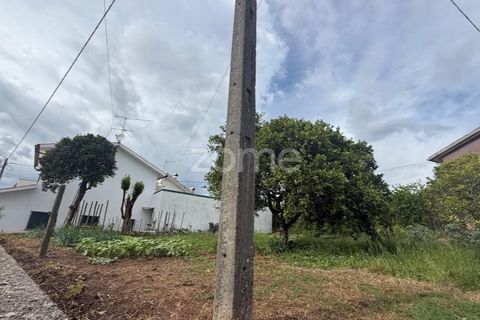 Helårsgrund i Coimbra, Coimbra, Coimbra - € 60.000 | Ref: ZMPT589208 - foto 6