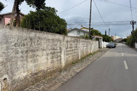 Helårsgrund i Coimbra, Coimbra, Coimbra - € 60.000 | Ref: ZMPT589208 - foto 7
