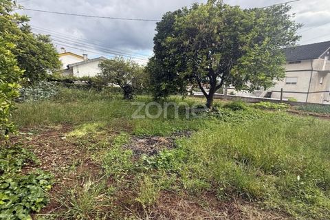 Helårsgrund i Coimbra, Coimbra, Coimbra - € 60.000 | Ref: ZMPT589208 - foto 8