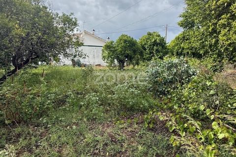 Helårsgrund i Coimbra, Coimbra, Coimbra - € 60.000 | Ref: ZMPT589208 - foto 9