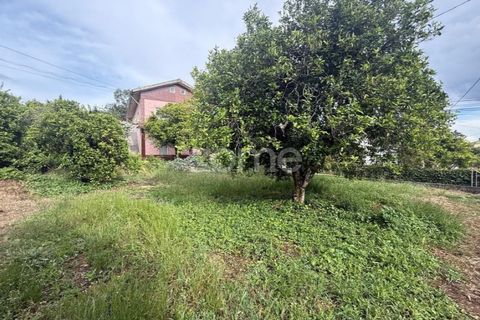 Helårsgrund i Coimbra, Coimbra, Coimbra - € 60.000 | Ref: ZMPT589208 - foto 12