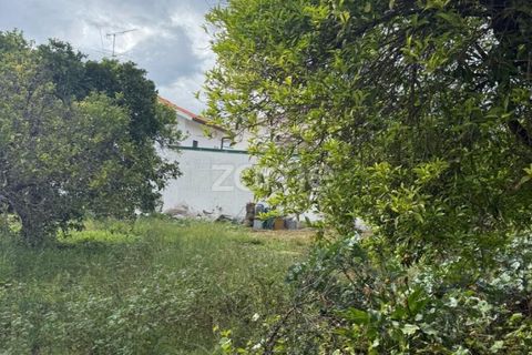 Helårsgrund i Coimbra, Coimbra, Coimbra - € 60.000 | Ref: ZMPT589208 - foto 13