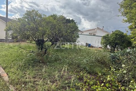 Helårsgrund i Coimbra, Coimbra, Coimbra - € 60.000 | Ref: ZMPT589208 - foto 14