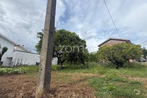 Helårsgrund i Coimbra, Coimbra, Coimbra - € 60.000 | Ref: ZMPT589208 - foto 15